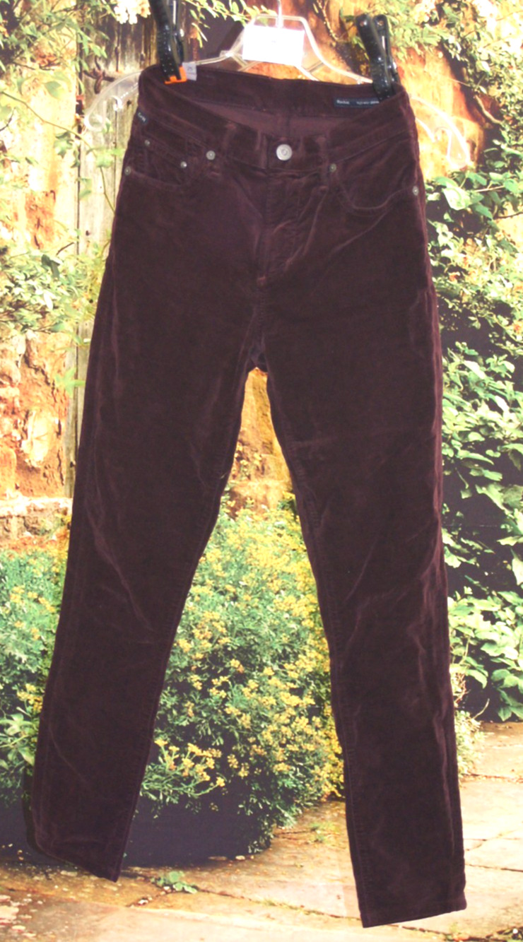 Citizens of Humanity Velvet Rocket High Rise Skinny Pants size 25